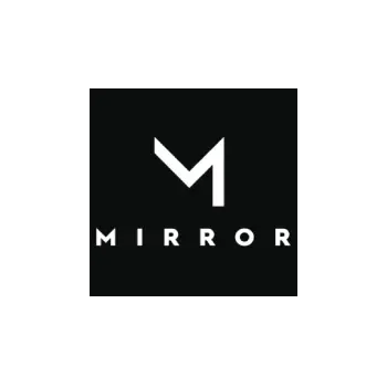 Multiplayer Game Development in Mirror